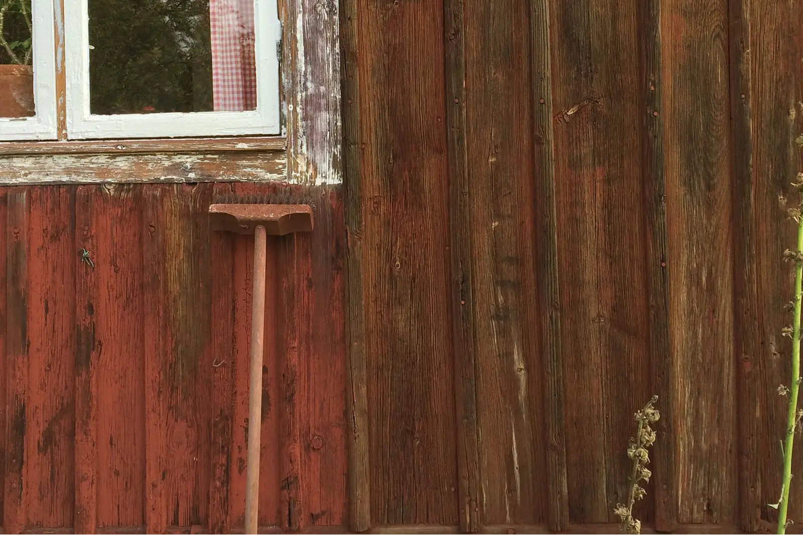 Skurborste för skaft